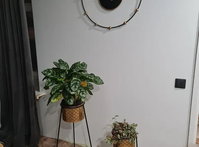 Апартаменты Old Town Рига